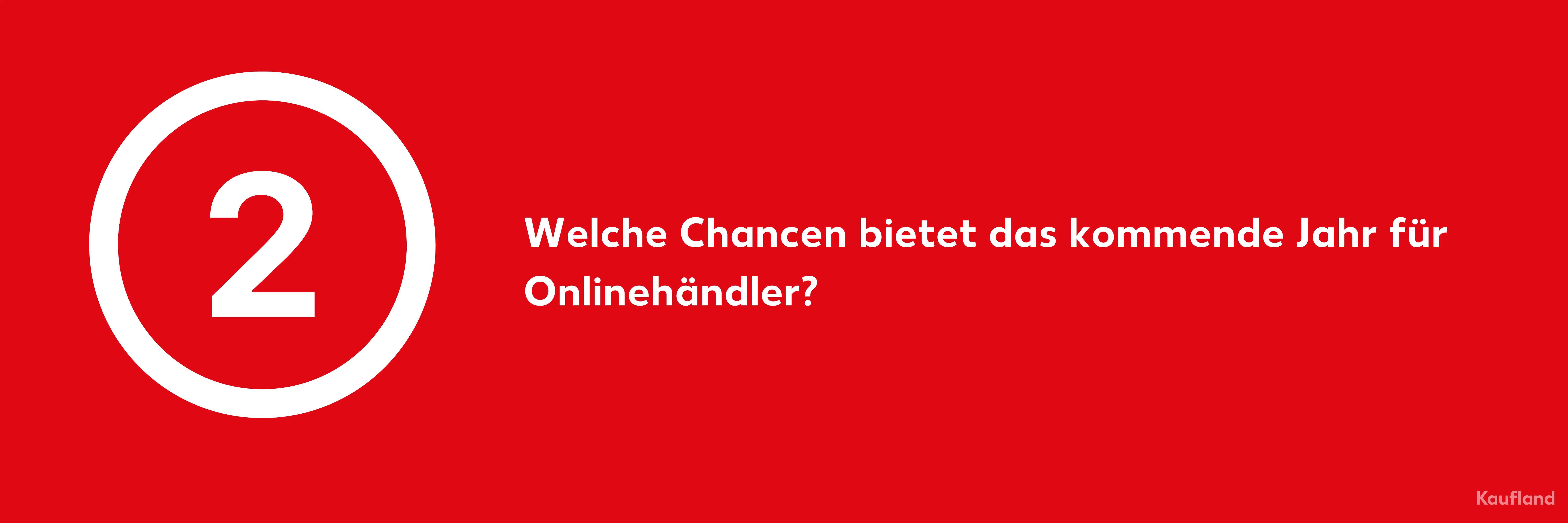 2) Welche Chancen bietet das kommende Jahr für Onlinehändler?